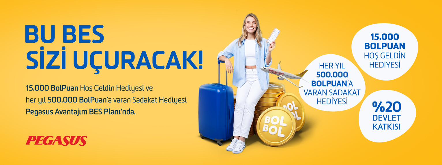 GA-17933-HDIFE-Banner-Carrefour-ve-Pegasus-Dijital-Reklam-R1-