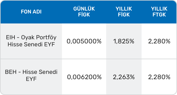 Hisse Senedi Yatırım Fonları