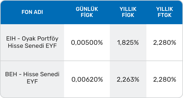 Hisse Senedi Yatırım Fonları