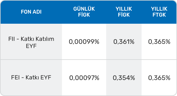 Devlet Katkısının Yatırıldığı Fon